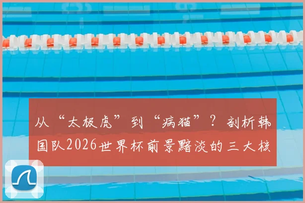 从“太极虎”到“病猫”？剖析韩国队2026世界杯前景黯淡的三大核心症结
